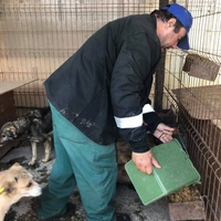 photo de livraison pour Florentina Cioaca