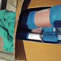 photo de livraison pour Chat Ami pour la Vie