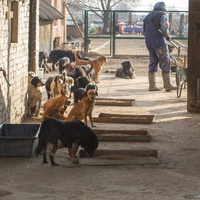 photo de livraison pour Azil Bella