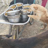 photo de livraison pour Svetlana Bjelogrlic