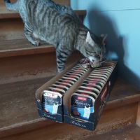 photo de livraison pour Felis Canis Association