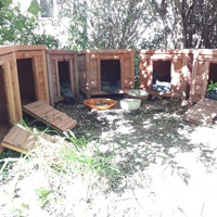 photo de livraison pour Les Chats Libres de la Canterrane