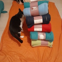 photo de livraison pour Les Amis de Michouette
