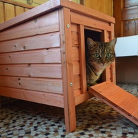 photo de livraison pour A.R.P.A Chats