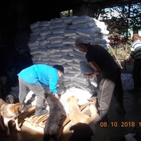 photo de livraison pour Pro Animals Finland ry