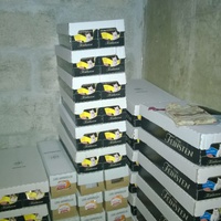 photo de livraison pour ACLEC 50
