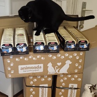 photo de livraison pour L’École du Chat de Saint-Denis Langevin