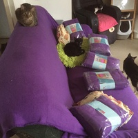 photo de livraison pour Pour l'Amour des Chats