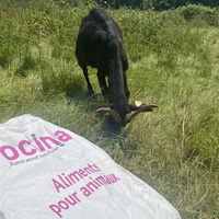 photo de livraison pour Espoir au Galop