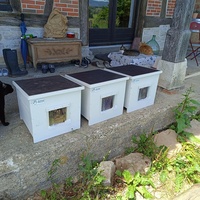 photo de livraison pour Ecole du Chat Libre de Caillerot