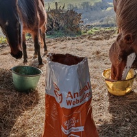 photo de livraison pour Les Crinières de Salherm
