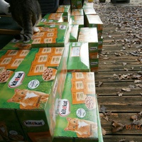 photo de livraison pour Adoption Féline Estuaire