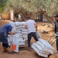 photo de livraison pour Help Adopt Moroccan Animals