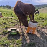 photo de livraison pour Les Crinières de Salherm