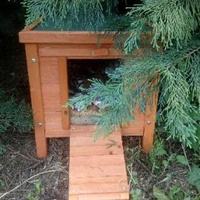 photo de livraison pour Au Paradis Des Chats