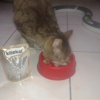 photo de livraison pour Arche de Véra