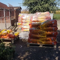 photo de livraison pour Nobody's Dog France