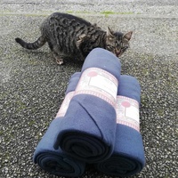 photo de livraison pour Chat L'Heureux Chat l'Ange et Cie