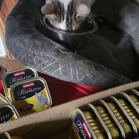 photo de livraison pour Amis de Myrtille