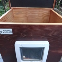 photo de livraison pour Les chats libres de Caro