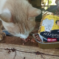 photo de livraison pour Boules d'amour