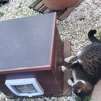 photo de livraison pour Aidons nos Molosses