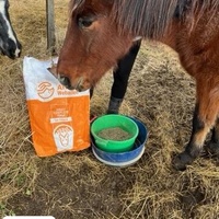 photo de livraison pour La Retraite des Chevaux des Causses
