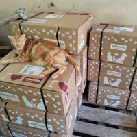 photo de livraison pour Chats Grains d'Amour