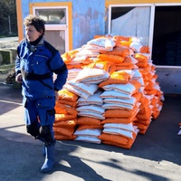 photo de livraison pour Nicoleta Stefanescu