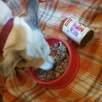 photo de livraison pour AVRAH