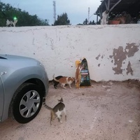 photo de livraison pour ADAN Essaouira