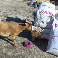 photo de livraison pour La Tribu de LOLA