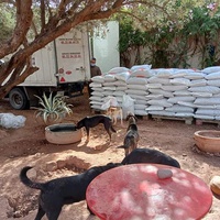 photo de livraison pour Help Adopt Moroccan Animals