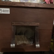 photo de livraison pour Cosette