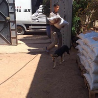 photo de livraison pour Help Adopt Moroccan Animals