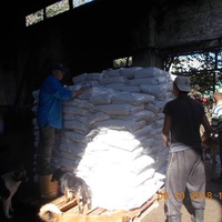 photo de livraison pour Pro Animals Finland ry