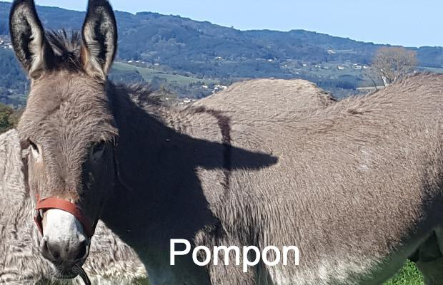 photo association