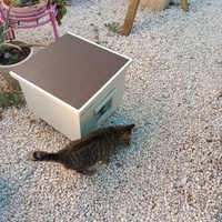 photo de livraison pour A pas de Velours