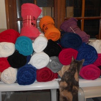 photo de livraison pour Protection Animale de Lunel