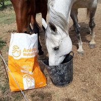 photo de livraison pour Happy Horse Day