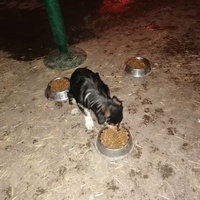 photo de livraison pour Ivana Nikolić