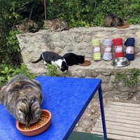 photo de livraison pour Les Chats Perchés de Mirmande