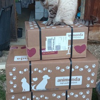 photo de livraison pour Ecole du Chat Libre de Caillerot