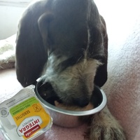 photo de livraison pour Boules d'amour