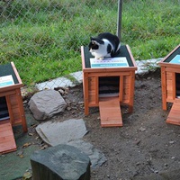 photo de livraison pour A.R.P.A Chats