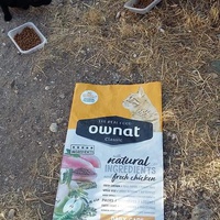 photo de livraison pour Les Chats-Pitresdelavi-Ste
