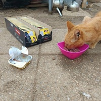 photo de livraison pour Chats Libres de Béziers