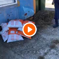 photo de livraison pour RespekTIERE Leben e.V.