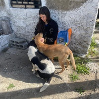 photo de livraison pour Sanctuaire de la Faune de Tanger (SFT)