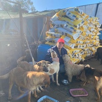 photo de livraison pour ADAN TETOUAN